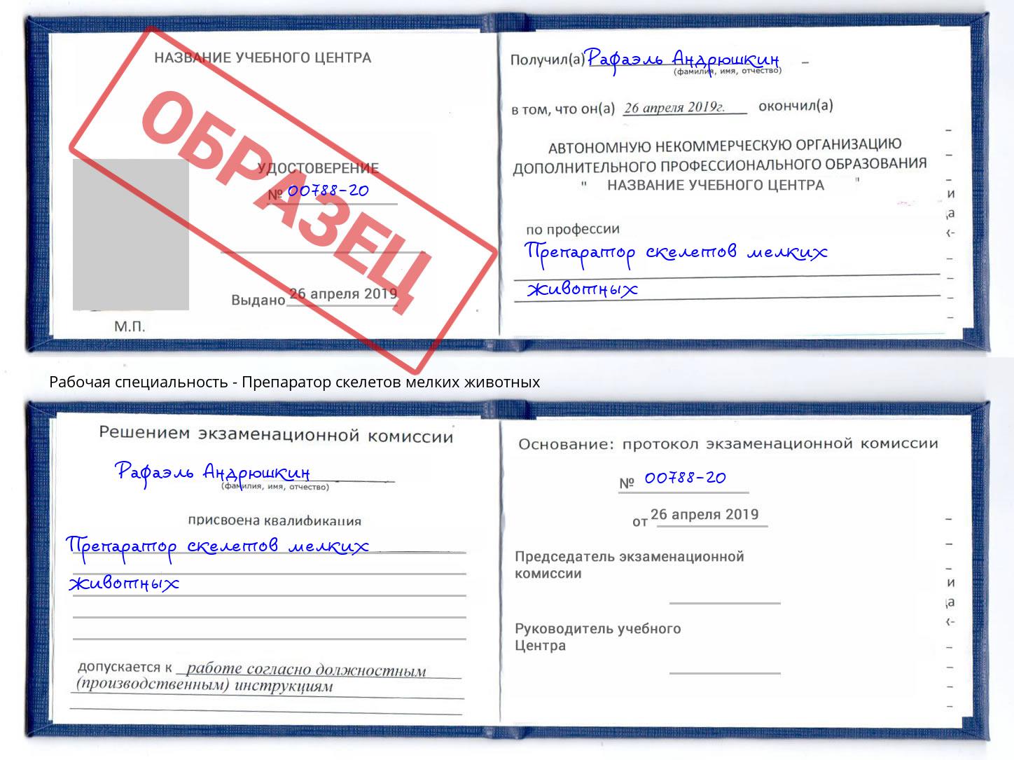 Препаратор скелетов мелких животных Муром