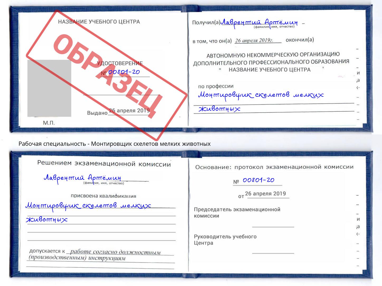Монтировщик скелетов мелких животных Муром