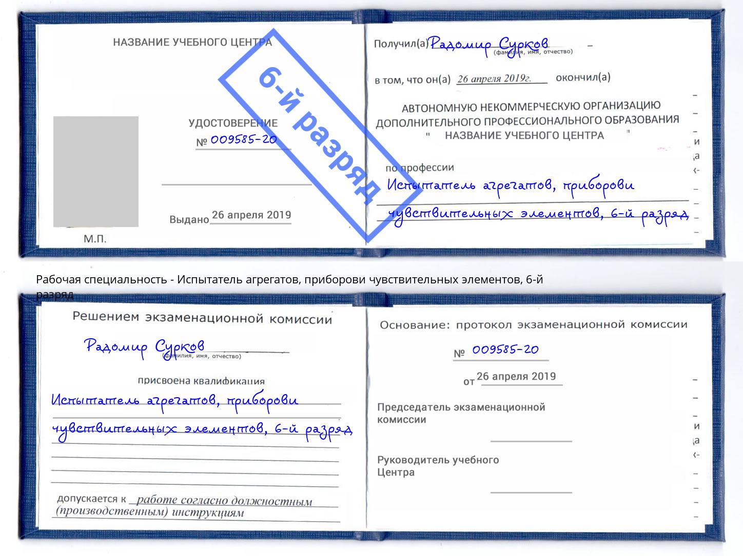 корочка 6-й разряд Испытатель агрегатов, приборови чувствительных элементов Муром
