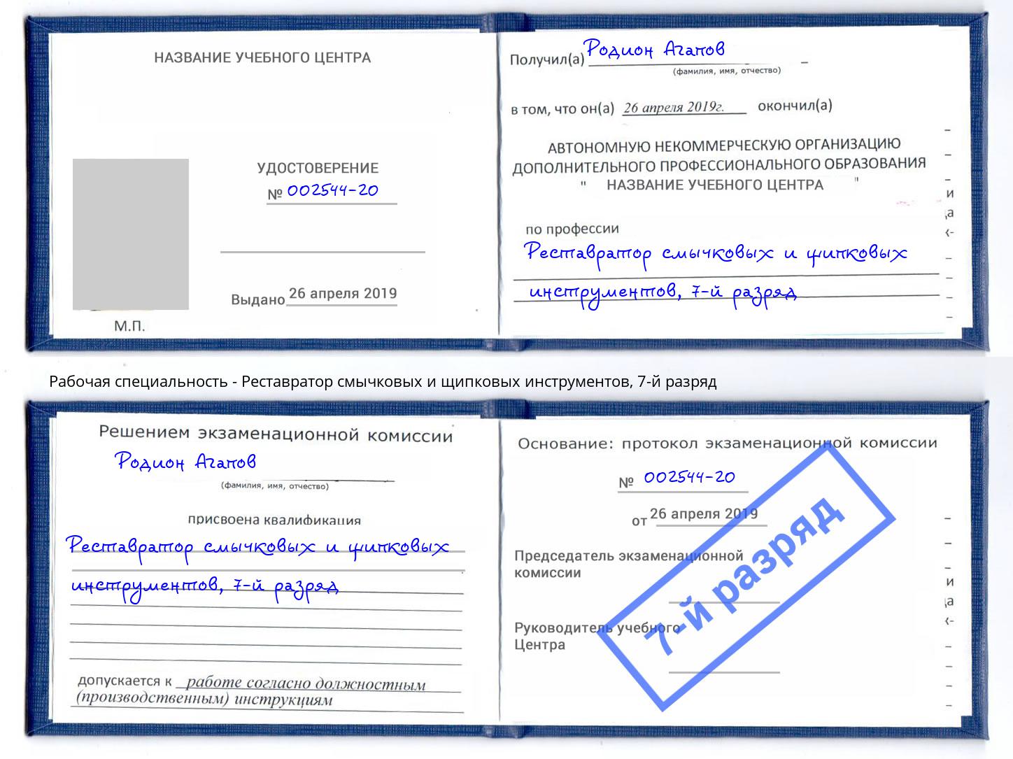 корочка 7-й разряд Реставратор смычковых и щипковых инструментов Муром