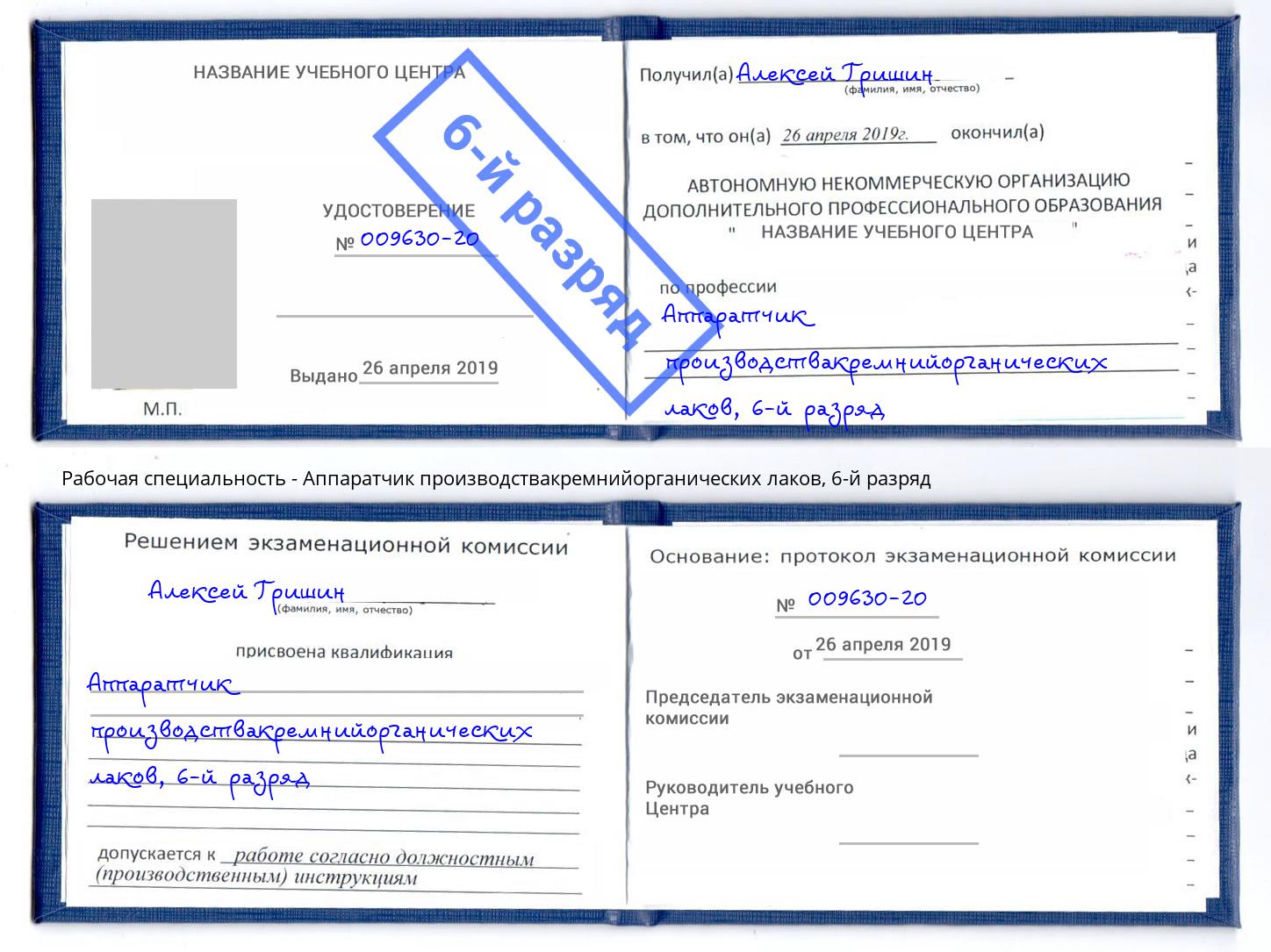 корочка 6-й разряд Аппаратчик производствакремнийорганических лаков Муром