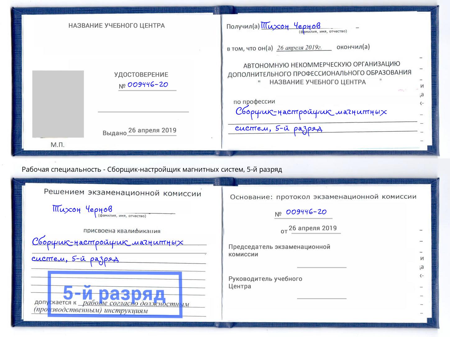 корочка 5-й разряд Сборщик-настройщик магнитных систем Муром